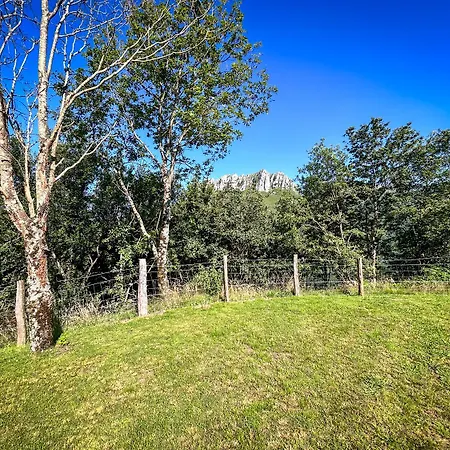 Quieva 01 Шале *